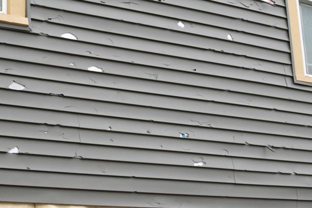 Shed Removal in Florida, NY